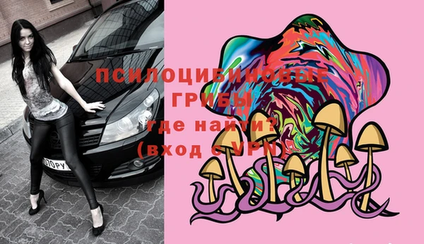 мяу мяу мука Балабаново