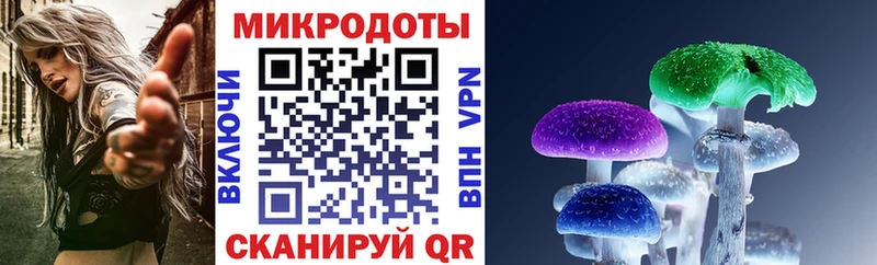 Галлюциногенные грибы Cubensis  Сусуман 