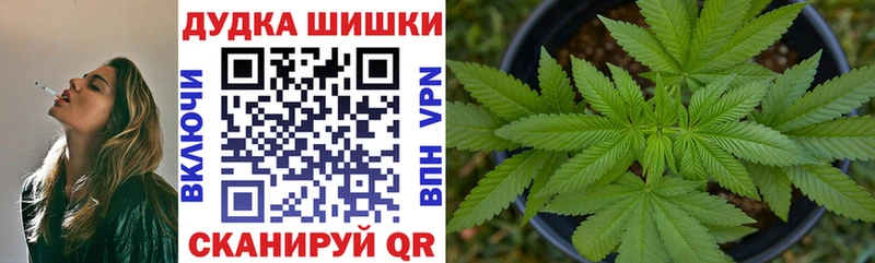 Бошки Шишки THC 21%  мега онион  Сусуман  магазин продажи наркотиков 